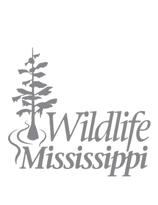 Wildlife Mississippi